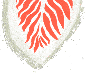 leaf_en_os-inversa